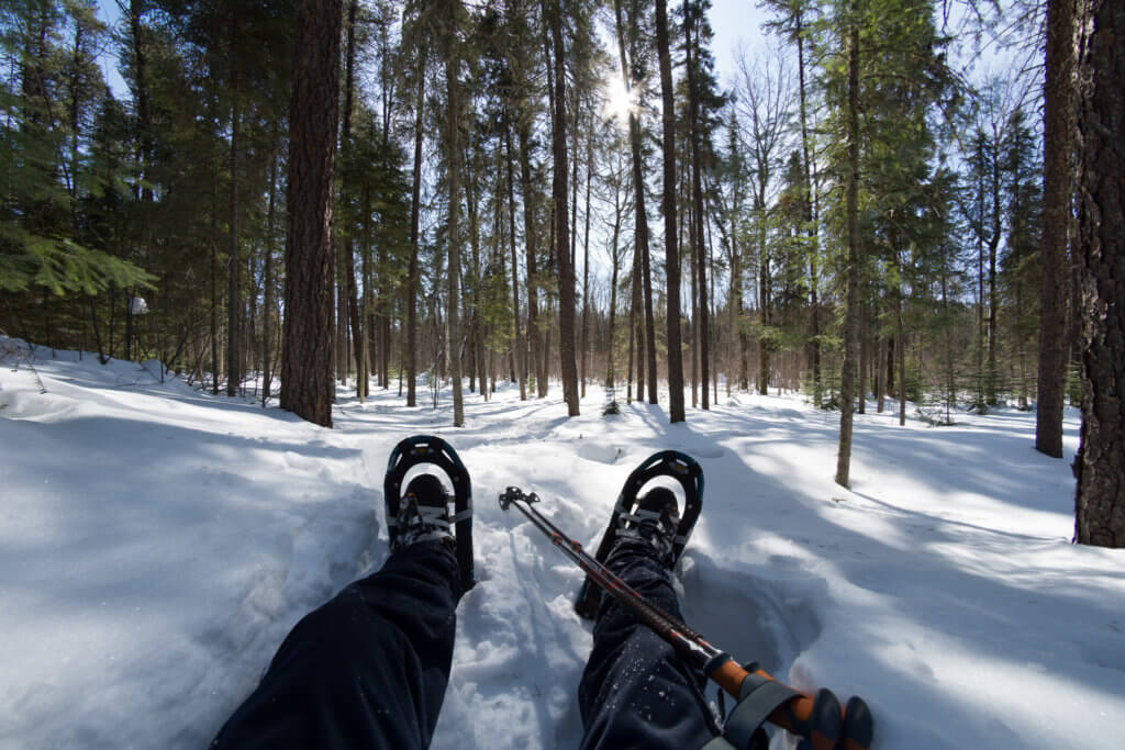 Photograph from the perspective of someone sitting in a forest covered with snow. We see his feet in ski boots, and ski poles to the side.