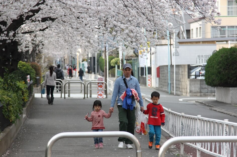 Family of Asian descent walks on a sidewalk in a city under the shadow of cherry blossoms: A dad and his two children.