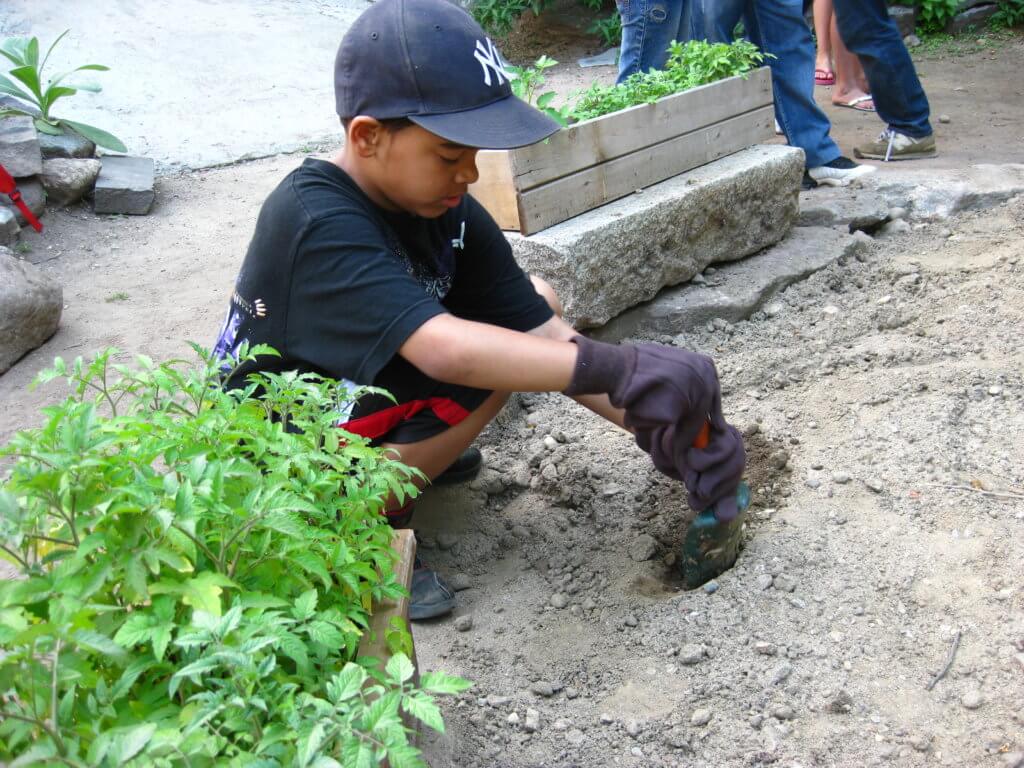 A young Black boy digs in a garden. The feet of several other people can be seen behind him distantly.