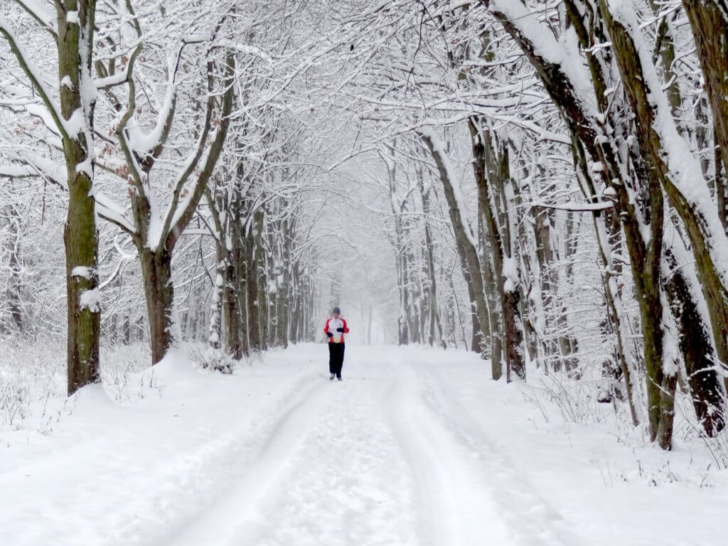 Photograph of a snowy road through the woods. A runner makes his way down the road in a red jacket.